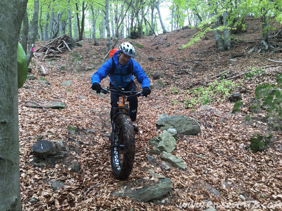 Si entra nel divertente bosco 