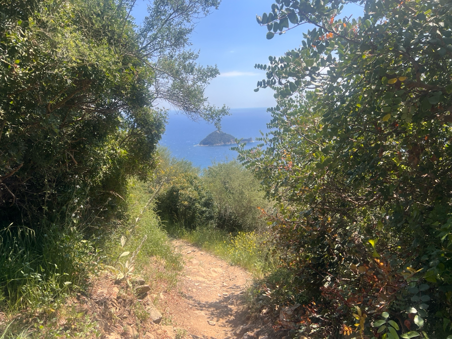 l'Isola della Gallinara ci ricorda che Albenga è vicina e la gita giunge al termine