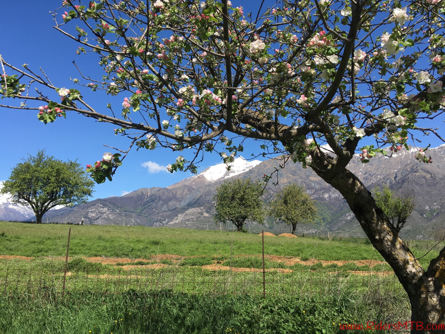 Il Rocciamelone  ci sorveglia per tutta la gita 