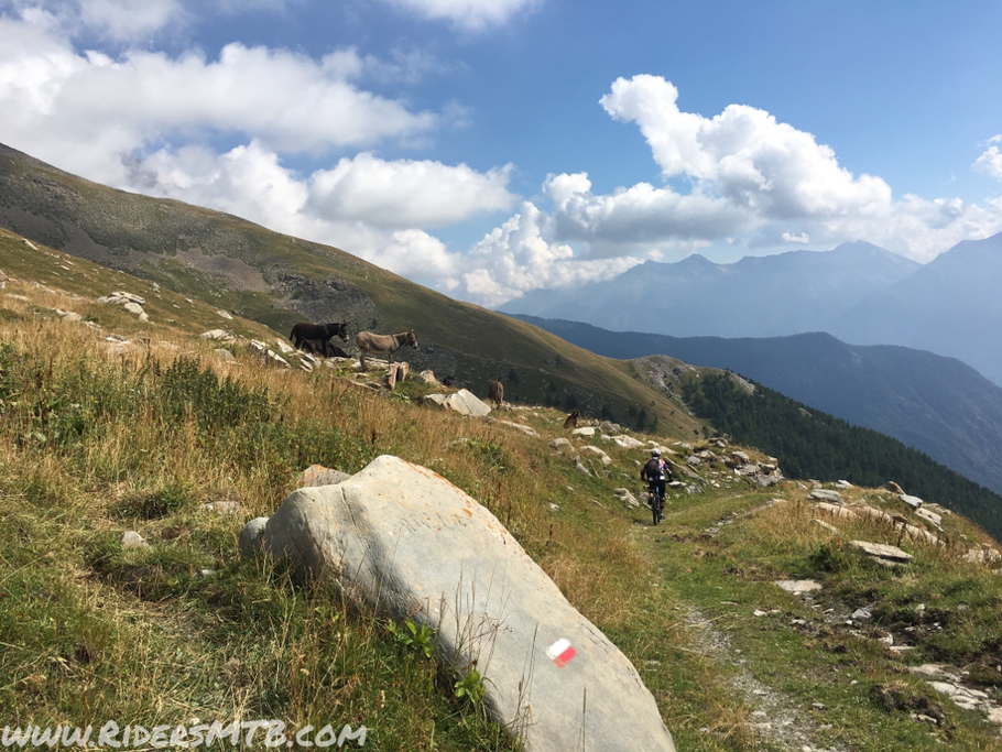 Direzione GRANGE PRAPIIANO