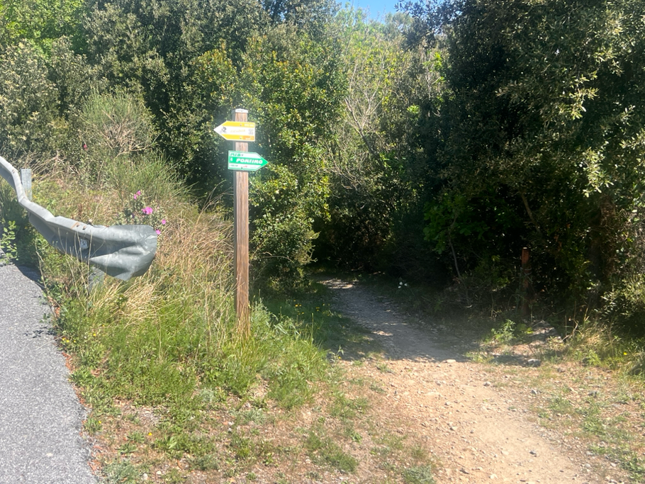 risaliamo qualche km in asfalto e successivamente imbocchiamo il single track IL PONTINO