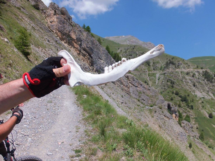 la natura fa il suo corso