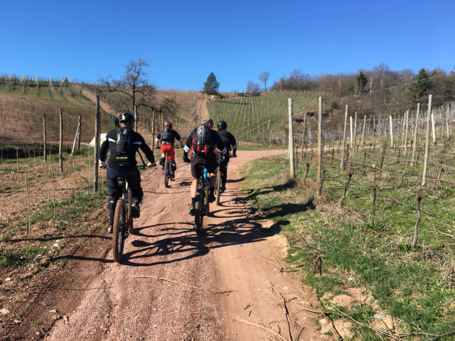 Vigne incantate lasciano posto a rampe assassine