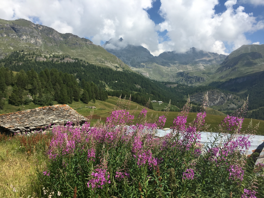 La valle si apre, Valtournenche TOP