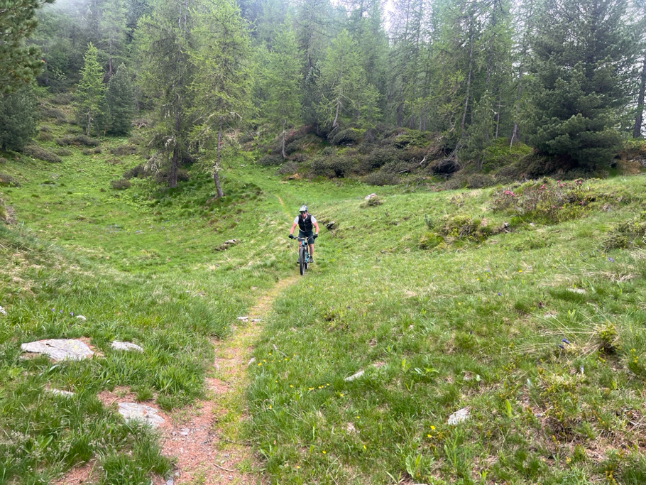 dal Colle discesa diretta sulla DH Casteldelfino