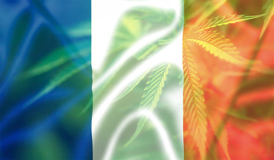 drapeau la france cannabis medical