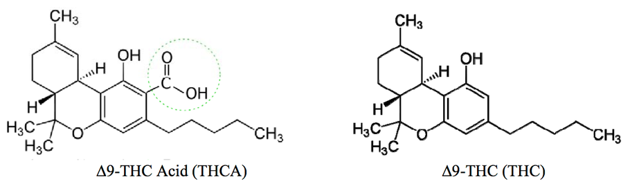 schema decarboxylation