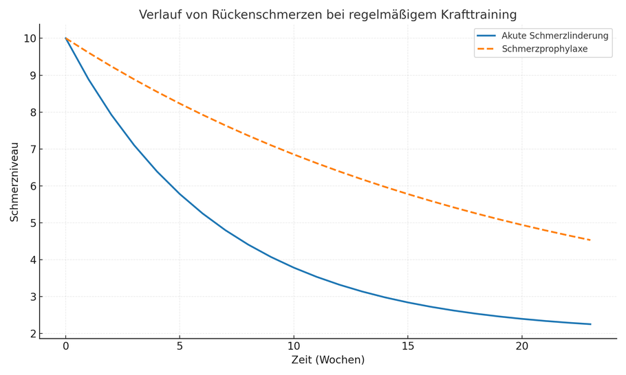 Personal Training Mainz, Personal Trainer Mainz, Darmstadt, Frankfurt, Wiesbaden, Aschaffenburg, Nieder-Olm, Bingen, Oppenheim, Taunus, Privater Fitnesstrainer, Schmerztherapie, Trainingsziele erreichen, Athletik Training, Rehatraining, 1 zu1 Coaching