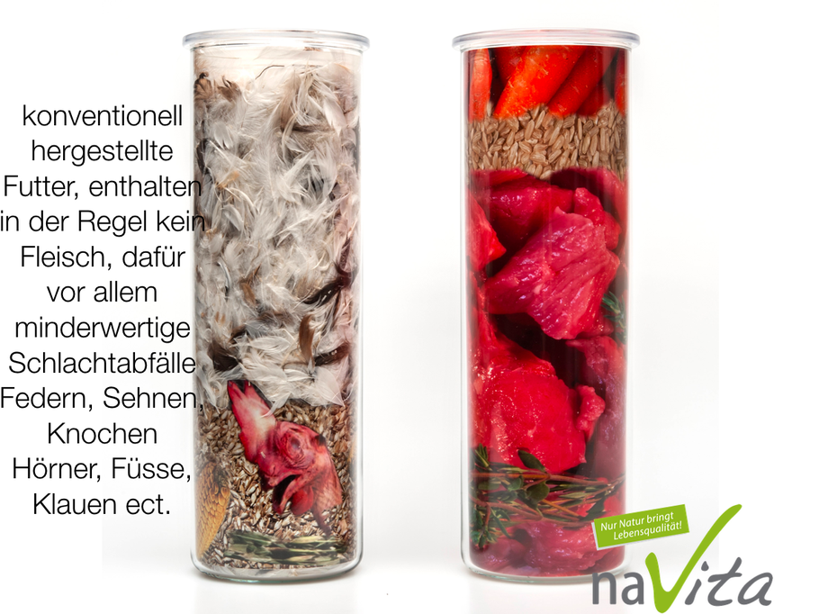 Konventionelles Futter vs Natürliches Futter | hundkatzeschmaus.ch