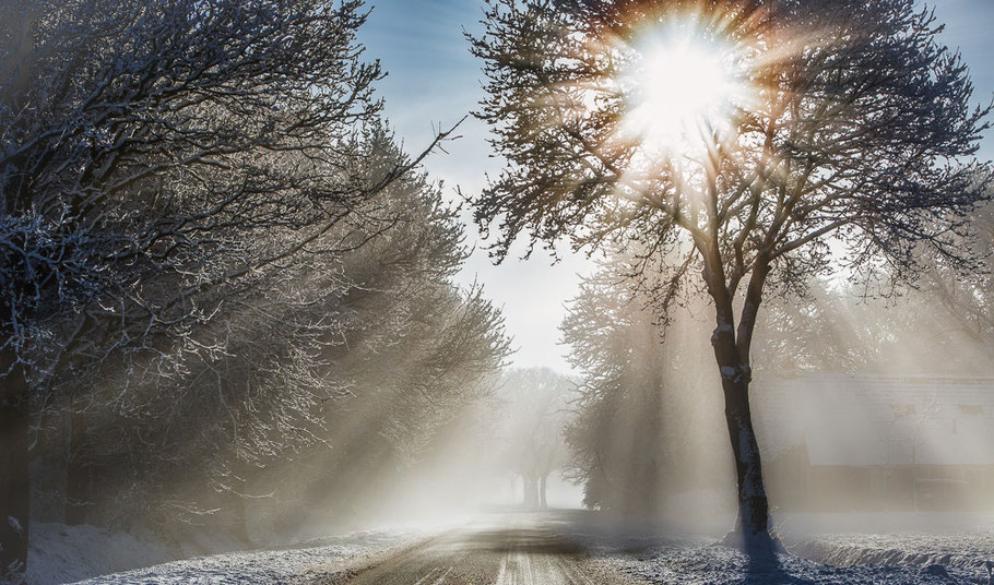 Winterlaan ©JurjenVeerman