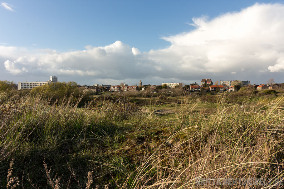 zandvoort,dünen,frühling,april,landschaft