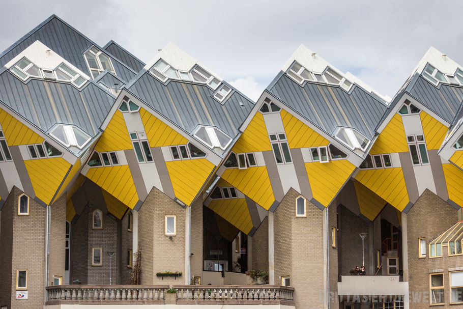 Rotterdam, piet, blom, niederlande, architektur