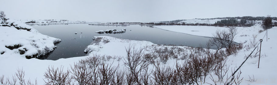 Silfra,spalte,schnorcheln,snorkeling,island,winter,pingvellir,golden,circle