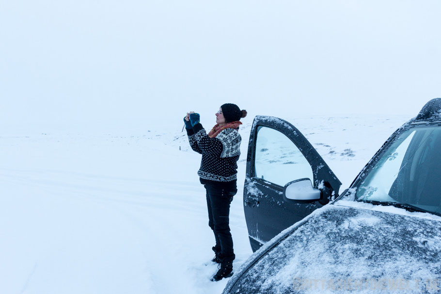 Silfra,spalte,schnorcheln,snorkeling,island,winter,pingvellir,golden,circle,geysir,stokkur