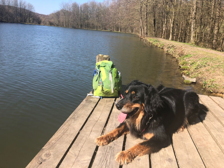 Mit Annabelle auf Tour (Oberirsen, Westerwaldsteig)