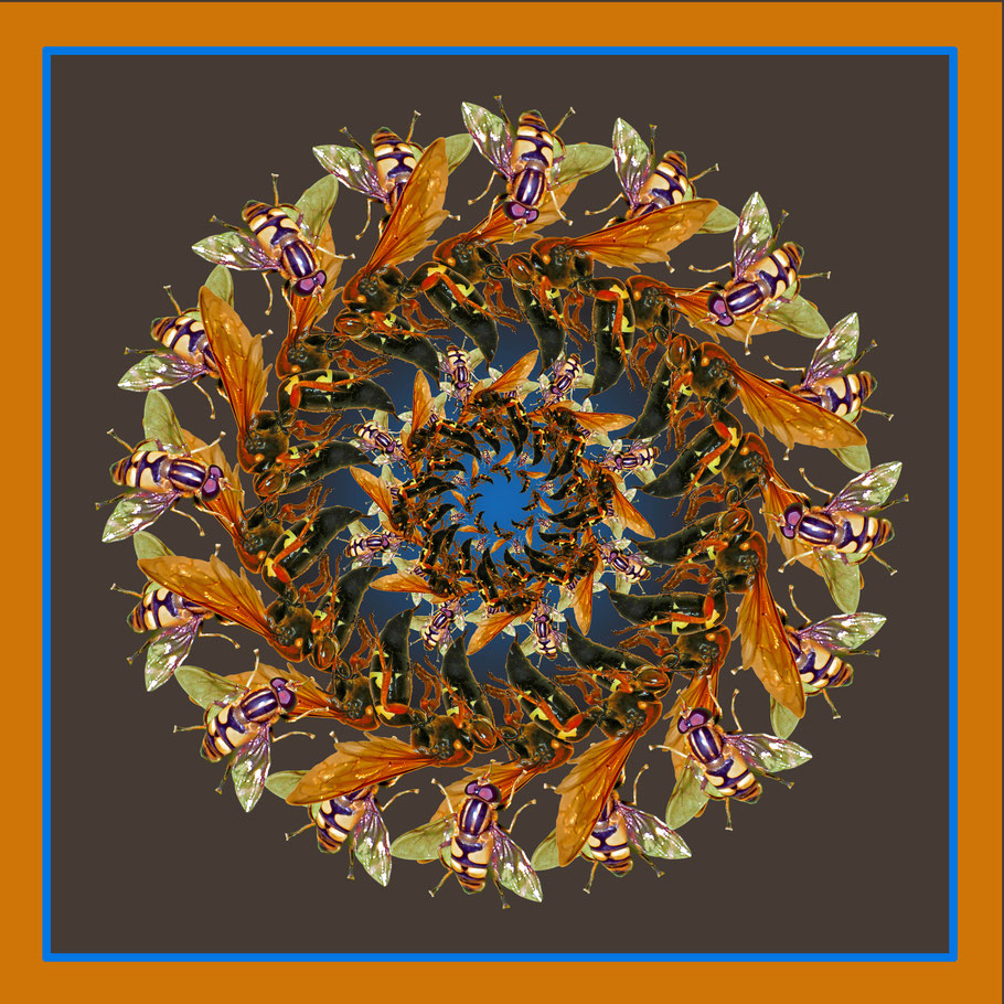 Wasp, bee mandala