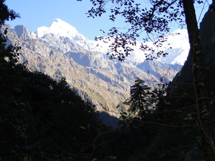 Erster Blick auf den Langtang Lirung