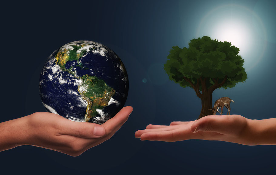Der Unterschied zwischen Recycling und Upcycling