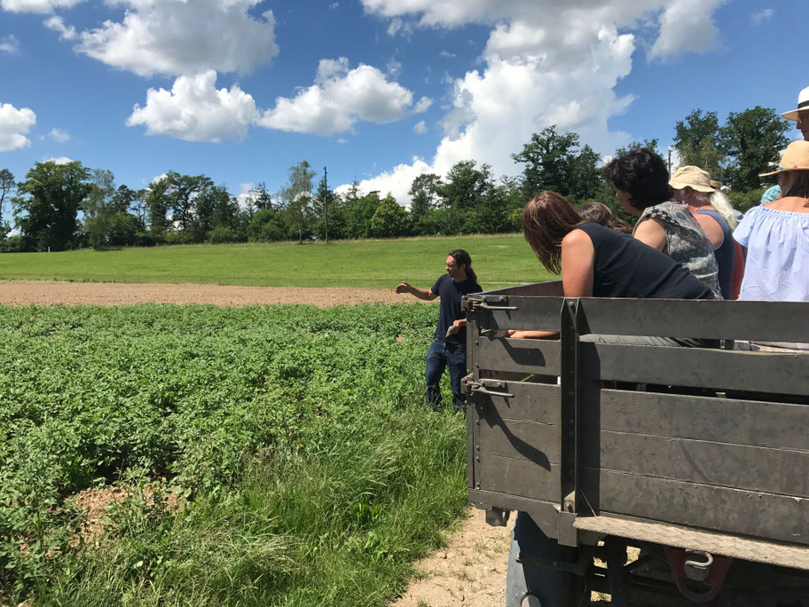 Veranstaltungen auf Gut Rheinau gutrheinaus seite!