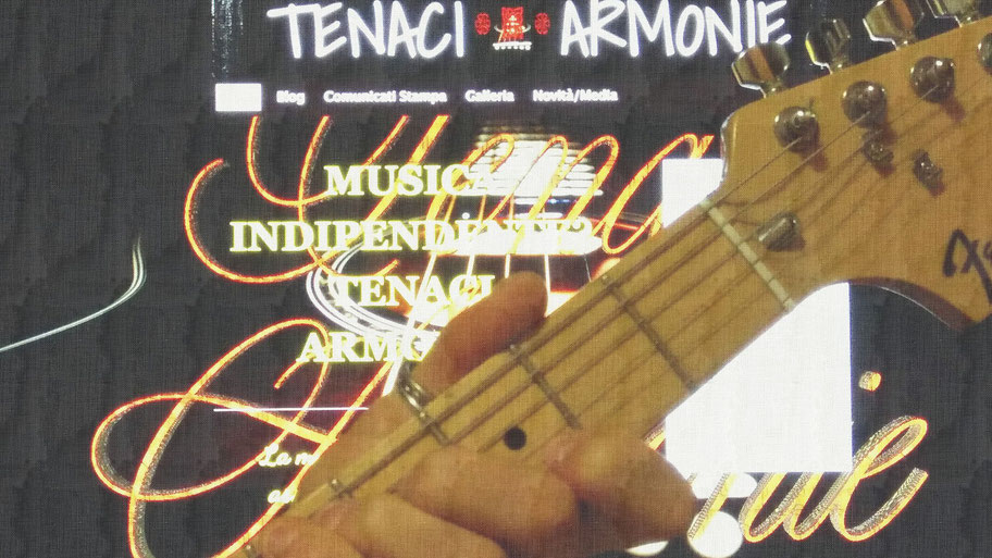 foto sito tenaci armonie con chitarra