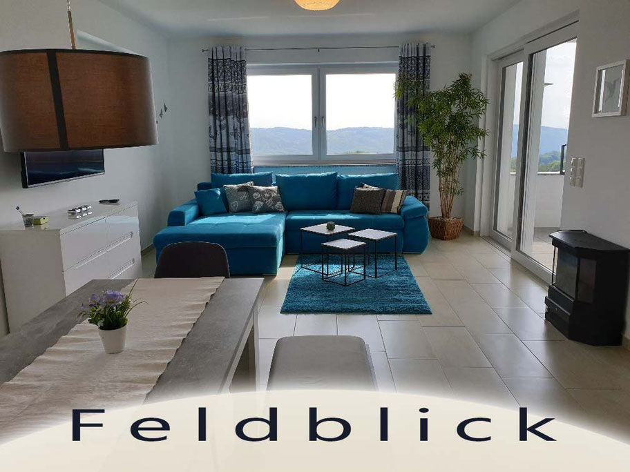 New furnished business apartments Short Term Rental in Linz, Austria