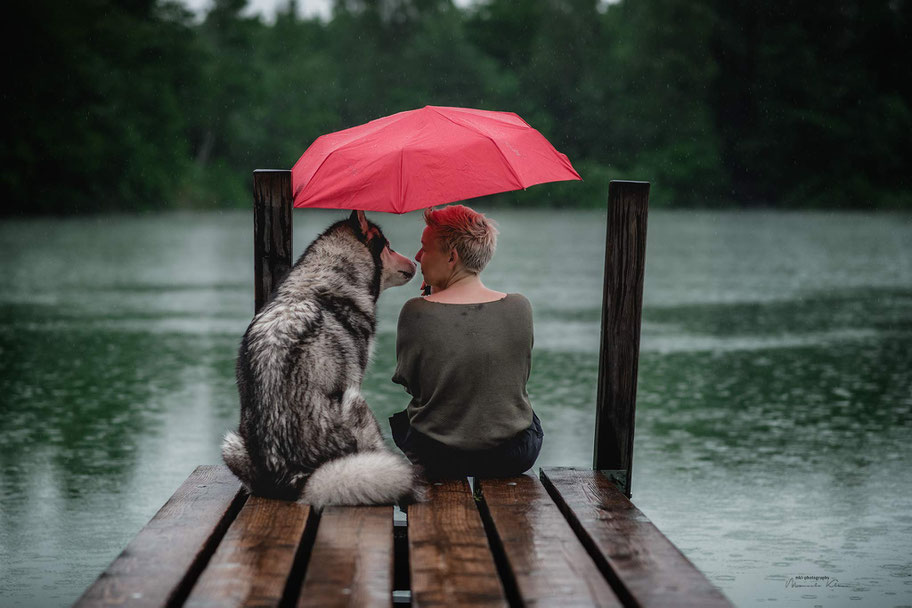 Ein Malamute und sein Mensch beim Zwiegespräch unter einem roten Regenschirm, während sie bei Regenschauer auf einem Steg am See sitzen.