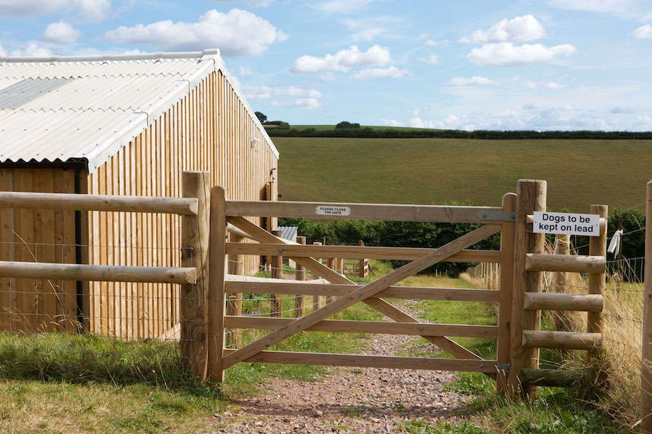 Book a Training class Dogs Matter Cooperative Dog Training in Exeter