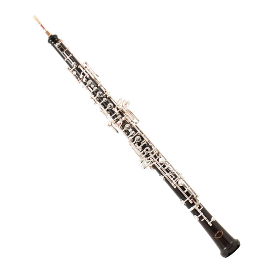 Oboe musikschulestanss seite!