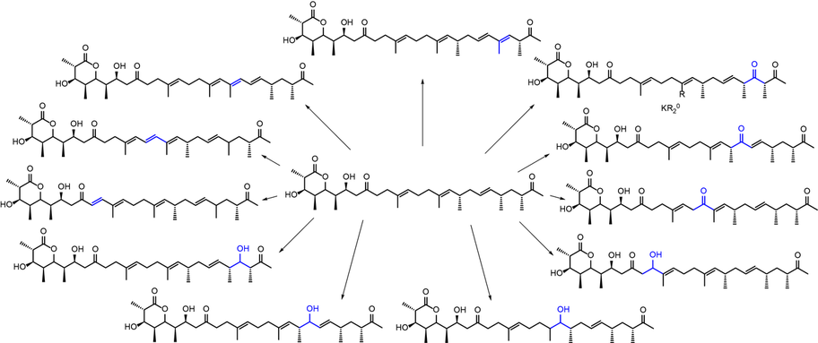 Polyketide Derivatization Polyketid Derivatisierung  - Schulz Laboratory Ruhr-Universität Bochum