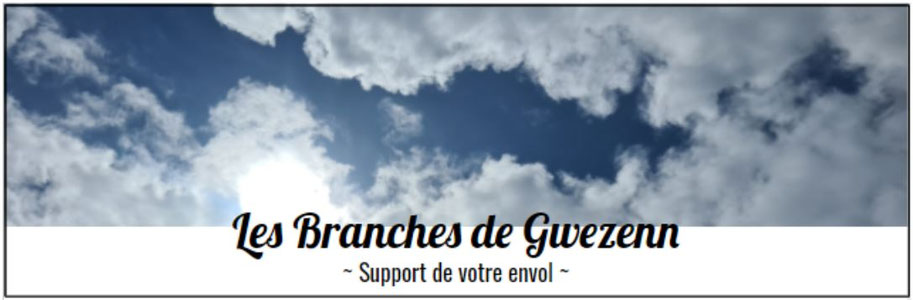 Site de lesbranchesdegwezenn !