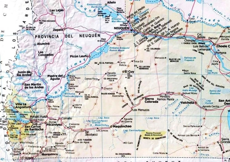 MAPPA DELLA PROVINCIA DEL "RIO NEGRO"