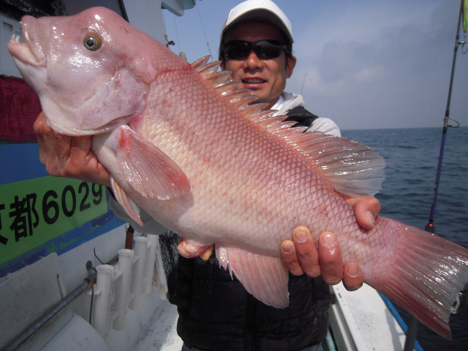 珍魚!この仕事はじめてから2匹目