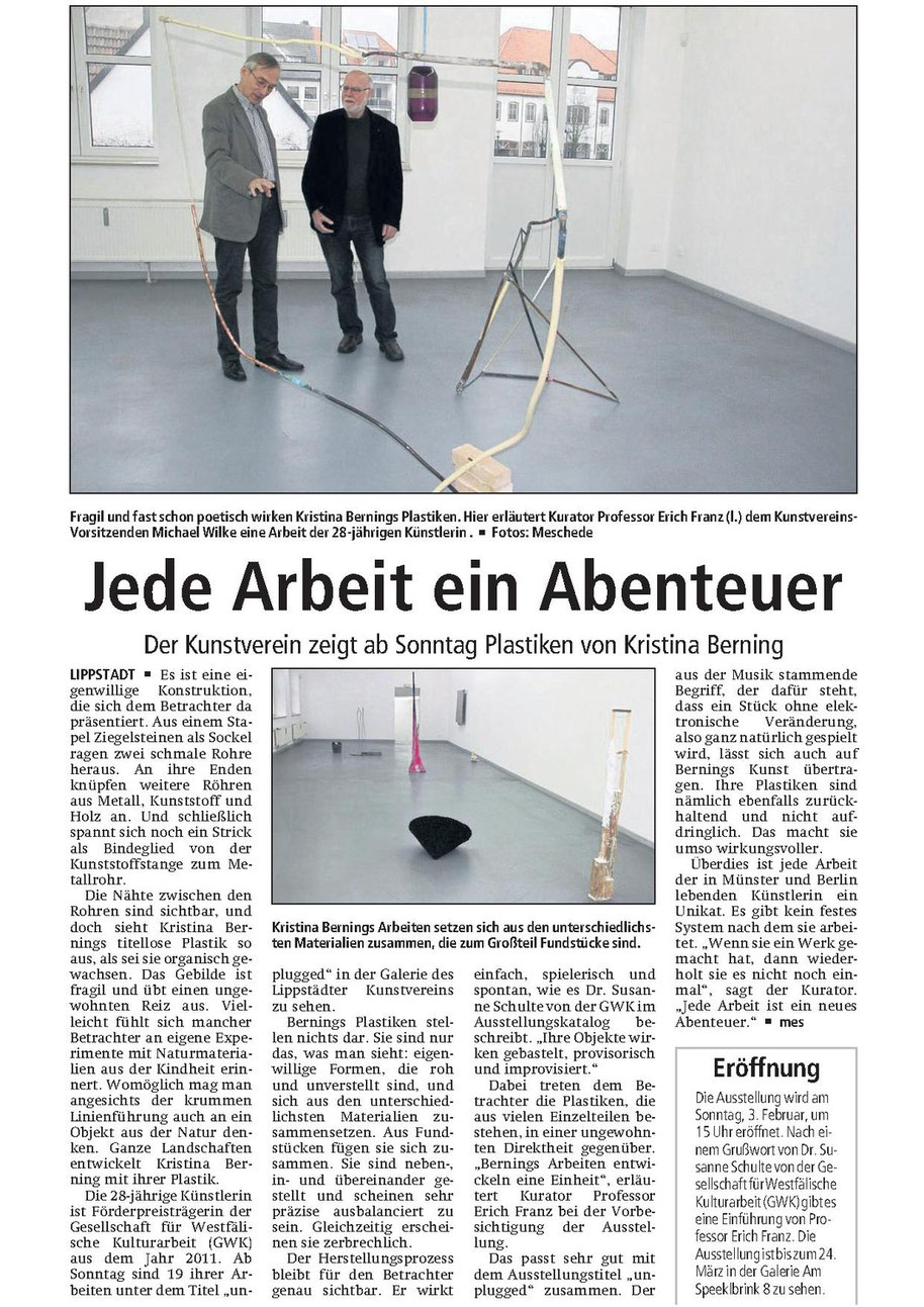 Der Patriot 31.01.2013