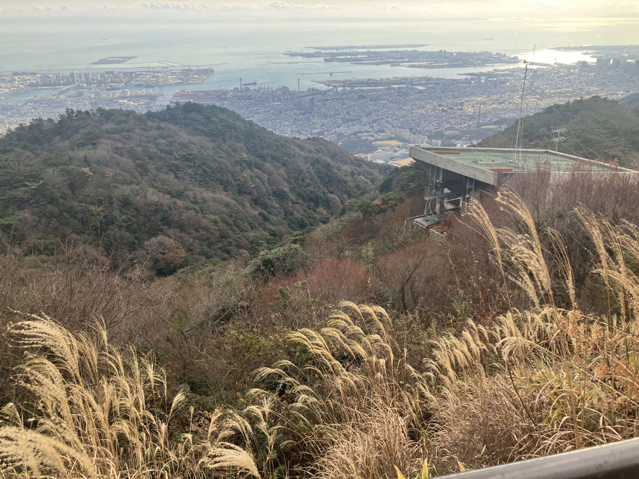 京都観光タクシー 英語通訳　観光ガイド　永田信明