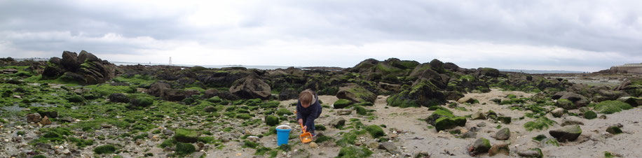 Site de larmor-copenhague !