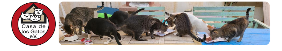 casadelosgatos-evs Webseite!