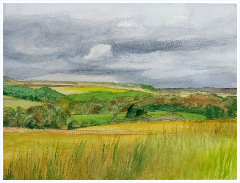 Paisaje campestre con hierbas altas en primer plano, campos verdes y marrones, colinas suaves y cielo nublado.