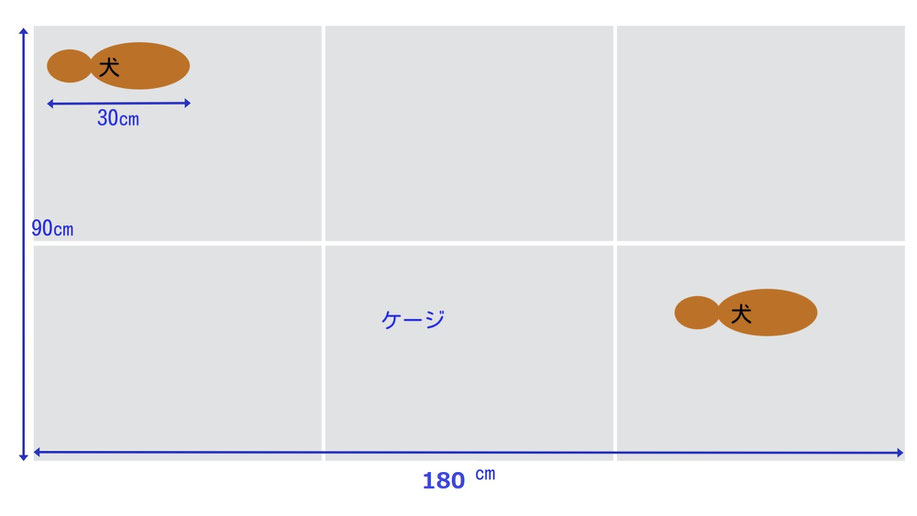 犬の体長30㎝で２頭の場合、ケージサイズは縦180㎝、横90㎝。分離型ケージサイズの６倍になる。