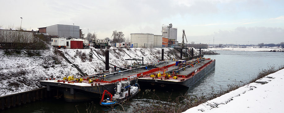 Lebensraum A Hafen im Winter, während der Vegetationsruhe, Aufnahme-Datum: 31.01.2019. Im Kultushafen werden ganzjährig Reinigungen der Tanks von Tank-Leichtern durchgeführt.