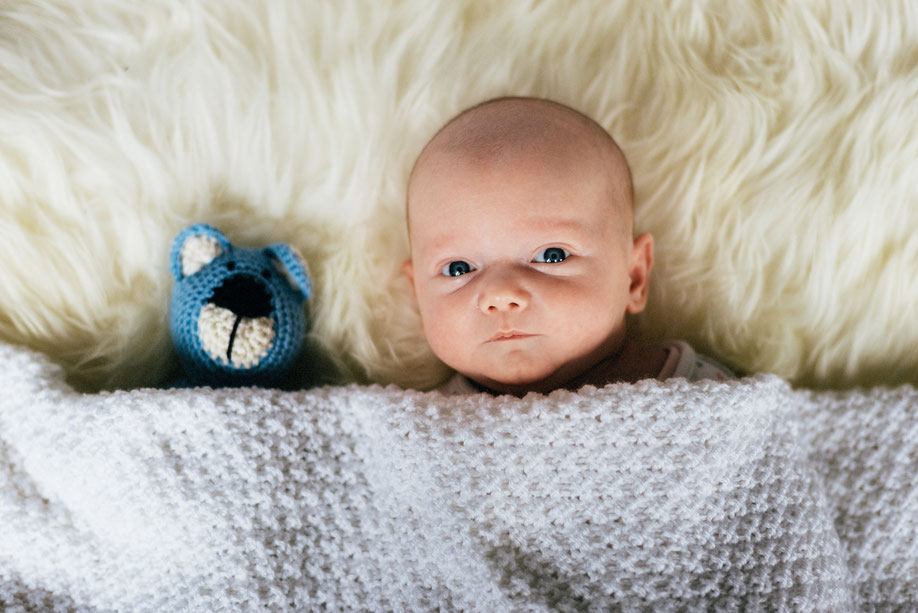 Baby mit Kuscheltier Newborn Fotografie