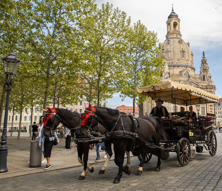 DRESDEN - Altmarkt mit Droschke vor der Frauenkirche