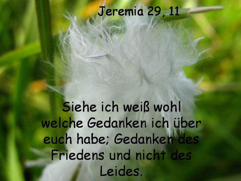 Sammlung von Bibelstellen, in denen "Fürchte dich nicht steht!". segenistseinwilles Webseite!