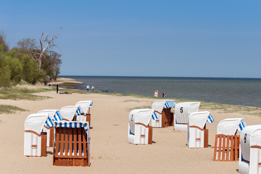 Aktivitäten - Marina Hohen Wieschendorf