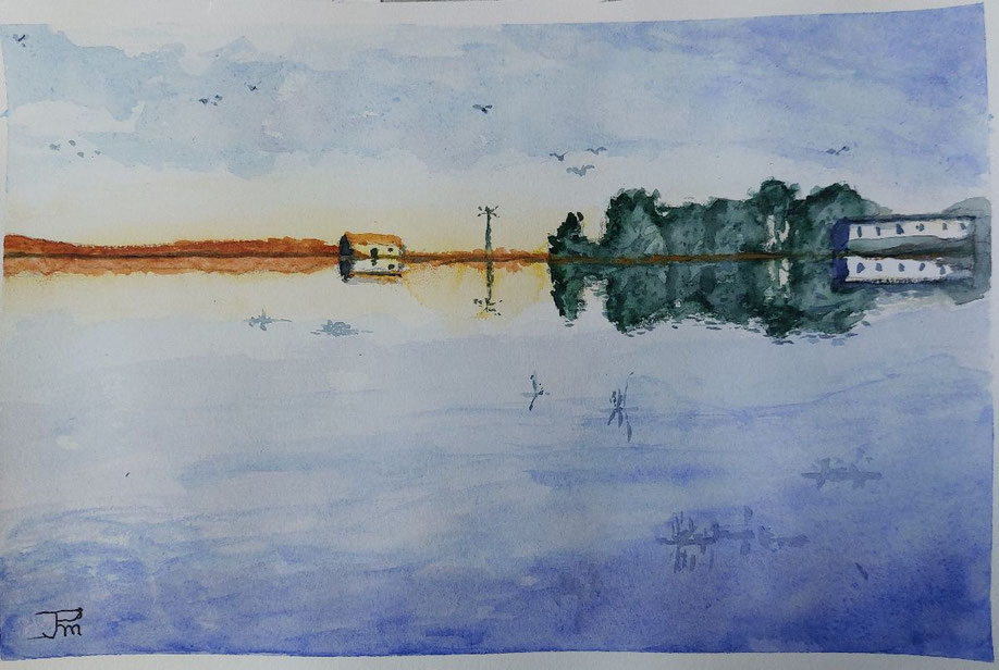 Arrozales inundados con casas y árboles reflejados en el agua al atardecer.
