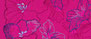 Fuchsia Fiesta