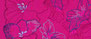 Fuchsia Fiesta