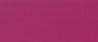 Fuchsia Fiesta