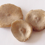 Nux vomica - Brechnuss, Krähenauge - bei Entzündungen und Krampfzustände des Magen-Darm-Kanals, Leber- und Gallestörungen, Verstopfung, Beschwerden durch Nahrungs-, Arznei- und Genussmittel, enthalten in metaharonga® und metanuxvomica