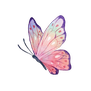 schmetterling icon
