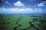 Everglades